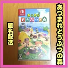 あつまれ どうぶつの森 Nintendo Switch