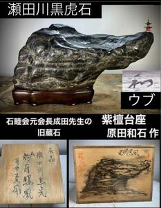 【秋の感謝祭】水石 盆栽 《名品》瀬田川黒虎石 ウブ『豹月照風』桐箱付 骨董盆石古美術鑑賞石観賞石太湖石中国古玩 2402