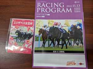 2022年11月13日　阪神競馬場　エリザベス女王杯　来場者限定ノベルティ　記念入場券レプリカ(新品・未開封・未使用)　　