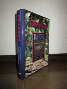 熱帯魚繁殖大鑑　東博司　坂本陽平　フィッシュマガジン編集部　緑書房　1992年　第2刷　正誤表付属 カバーに擦れキズ・天に僅かにシミあり