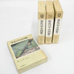 原色日本甲虫図鑑 4冊 セット 1 2 3 4 Ⅰ Ⅱ Ⅲ Ⅳ 書籍 昆虫 保育社 希少 Kキ60