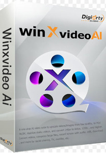 Winxvideo AI 　正規永年ライセンスWindows版1PC(１台)