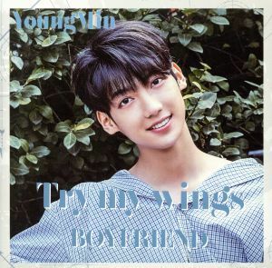 Ｔｒｙ　ｍｙ　ｗｉｎｇｓ（ヨンミン盤）／ＢＯＹＦＲＩＥＮＤ