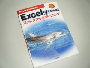 Excel97（応用編）ステップアップラーニング　平敷喬・著