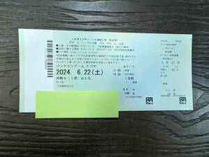 セ・リーグ公式戦 2024 中日 VS 広島 6月22日 内野A (1塁) バンテリンドーム ナゴヤ 観戦チケット c