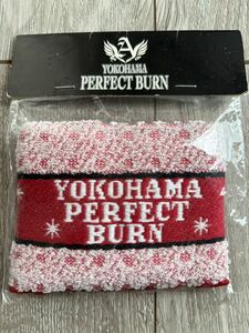 【美品】THE ALFEE 高見沢俊彦　坂崎幸之助　桜井賢　アルフィー　ライブグッズ　2009年　Yokohama perfect burn リストバンド