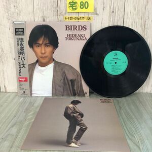 3-#LP 徳永英明 バーズ BIRSDS AY28-14 帯付 ディスクキズ有 ‘87フジカラーCMソング 輝きながら シック ため息のステイ 夏の素描