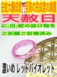 １個≪3号～27号 希望サイズ発送≫白蛇の指輪お守り【天赦日ご祈祷済み】御神環 メモリーオイル リング 白蛇の抜け殻 財布 第4チャクラ 22