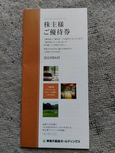 ★最新★東急不動産ＨＤ・株主様ご優待券100株分：有効期限2025年1月末迄