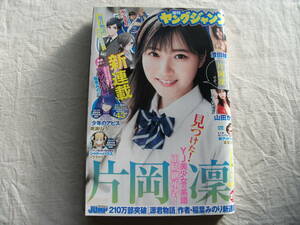 週刊ヤングジャンプ 2022年15号 工藤美桜 YUME 加藤栞　