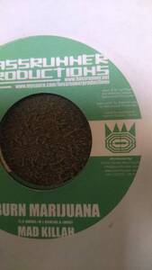 Electric Ragga Track Thug Funk Riddim Burn Marijuna Mad Killah From Bass Runner