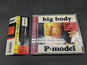 P-MODEL BIG BODY 廃盤