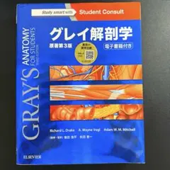 グレイ解剖学