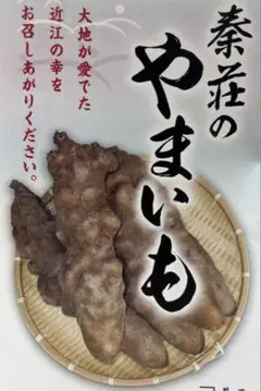 秦荘のやまいも約2kg