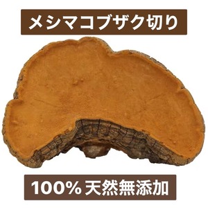 メシマコブザク切り100g 天然・無添加 桑黄 霊芝 サルノコシカケ