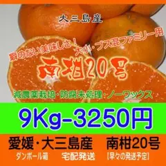 自然美味！南柑20号9Kg　減農薬栽培・ノーワックス・防腐未処理