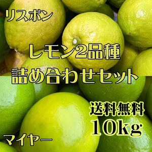 減農薬レモン 2品種詰め合わせセット　マイヤー＆リスボン 家庭用10kg 送料無料