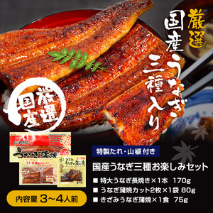 特大国産うなぎ蒲焼き3種セット[送料無料 うなぎ ウナギ 鰻 蒲焼き