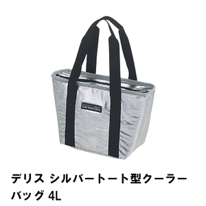 保冷バッグ 4L 小型 トート型 クーラーバッグ 幅30 奥行12.5 高さ19 コンパクト 収納 便利 おしゃれ キャンプ 保存 M5-MGKPJ00788