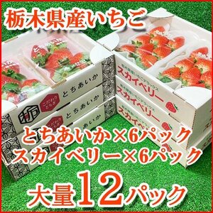 【Good】大量12パック！たっぷり6箱お届けです！高級いちご 栃木県産『スカイベリー』＆『とちあいか』ご予約