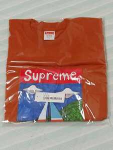 レア Supreme Sailboat Tee Rust L シュプリーム Tシャツ Logo ロゴ