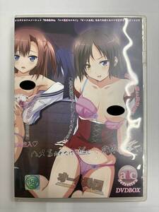 【開封品】A1C Selection in the DVD BOX ～エロ性人獣ヤリまくり～