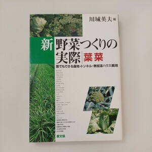 zaa-570♪新　野菜つくりの実際　葉菜―誰でもできる露地・トンネル・無加温ハウス栽培 川城 英夫【編】 農山漁村文化協会（2001/11発売）