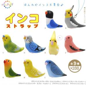 ◆奇譚クラブ インコ ストラップ♪…全9種+台紙 (ボタンインコ/オカメインコ/セキセイインコ/アキクサ/サザナミ) 鳥 フィギュア マスコット