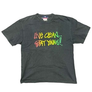 ステューシー × チャンピオン LIVE CLEAN Tシャツ STUSSY Champion STAY YOUNG T オールド ラスタ ライオン カラー ビンテージ 半袖 ティ