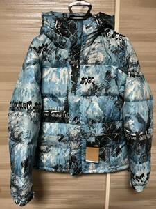 ノースフェイス　PRINT HMLYN DOWN PARKA Blue M