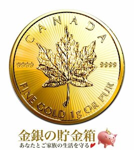 メイプル金貨 1g 2023年製 015-20-year (2023)