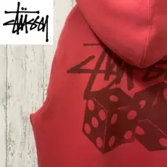 【激レア】STUSSY ステューシー　パーカー　ゆるだぼ　スウェット　完売モデル