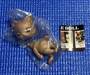 カプセルドール CAPSULEDOLL vol.1 Brown tiger ねこ