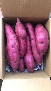 26.お買い得さつまいも、千葉県産むらさきいも　紫芋　むらさきいも箱込み3Kg