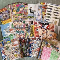 弱虫ペダル　付録　ポスター　切り抜き　クリアしおり　ブックカバー　まとめ売り