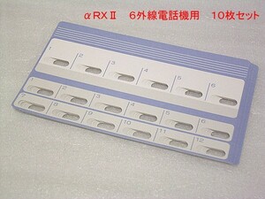 NTT製αRXII　６ボタン電話機用示名状10枚セット　[S664]