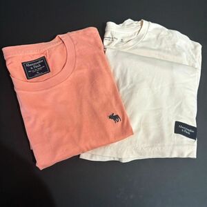 Abercrombie & Fitch アバクロンビー & フィッチ Tシャツ 2点セットトップス ピンク サーモンピンク Uネック 無地 夏 半袖 XL ファッション