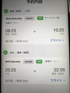 成田から大分空港まで　往復