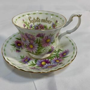 ROYAL ALBERT ロイヤルアルバート カップ ソーサー フラワーオブザマンス September 9月 MICHAELMAS DAISY