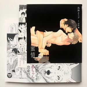 特典付 商業bl 漫画 鳥海よう子 原作/岩本薫 蜜情