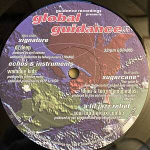 V.A. / Global Guidance