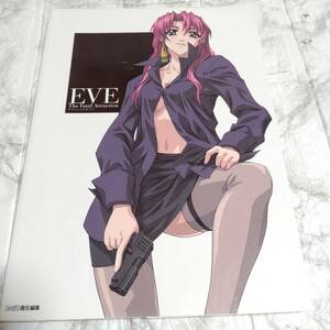 攻略本 PS EVE The Fatal Attraction オフィシャルガイド 初版 2001/10/12 （ファミ通）イブ レトロゲーム アドベンチャー