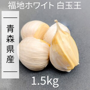 にんにく 【青森県産】福地ホワイト六片 1.5kg 産直野菜⑤