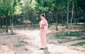 レディース 浴衣 単衣着物 単衣 仕立て上がり 洗える 桜の柄 高級 変わり織 花火大会 135cm