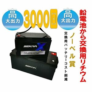 3000回使用可能リチウム電池登場 ２００AHリチウム電池★2560Wh容量◎高容量寿命３０００Cycleエアコンも回せるリン酸鉄バッテリー SEKIYA