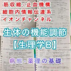 看護師、准看護師国家試験、看護学科定期試験対策【生理学B】まとめノート