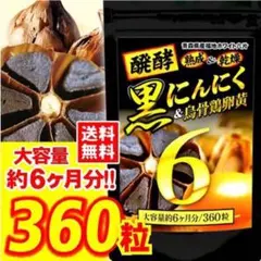 激安❗️醗酵黒にんにく卵黄 疲労回復 免疫強化 360粒 6ヶ月