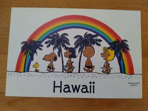 即決300円 SNOOPY HAWAII スヌーピー　ハワイ　ポストカード　絵はがき　絵葉書