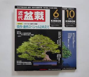 近代盆栽２０１４年６月号、１０月号２冊セット