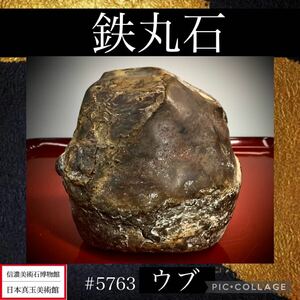 【信濃美術石博物館】水石 盆栽 鉄丸石 ウブ 横13(cm) 2.48kg骨董盆石古美術鑑賞石観賞石太湖石中国古玩 5763